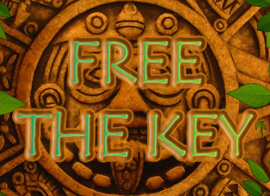 کلید را آزاد کنید